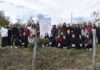 Bir Öğretmen Bir Nesil Yetiştirir, Bir Fidan Bir Orman Büyütür
