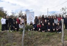 Bir Öğretmen Bir Nesil Yetiştirir, Bir Fidan Bir Orman Büyütür