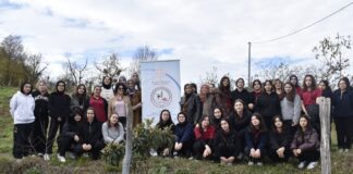 Bir Öğretmen Bir Nesil Yetiştirir, Bir Fidan Bir Orman Büyütür
